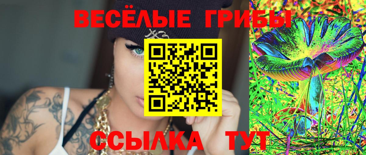 Псилоцибиновые грибы ЛСД Саратов