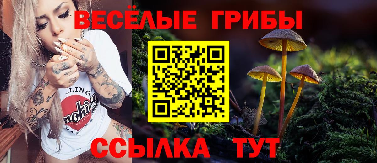 Псилоцибиновые грибы GOLDEN TEACHER  Вход с VPN  Саратов  Псилоцибиновые грибы Cubensis 